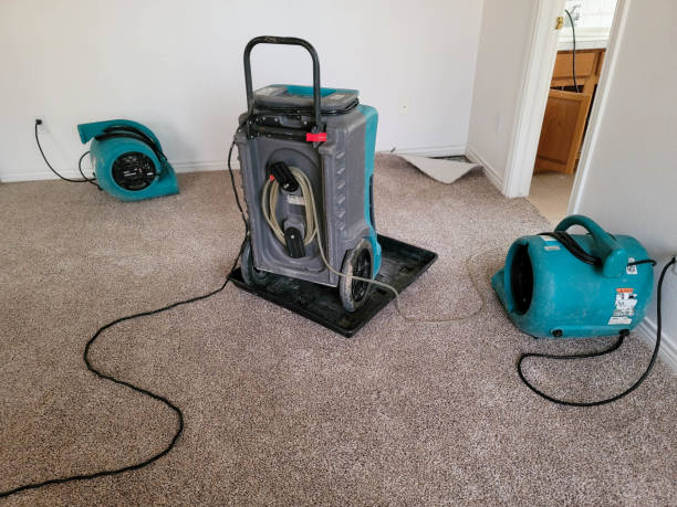 Best Mold removal after water damage  in New Egypt, NJ