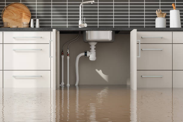 Best Fire Damage Restoration  in New Egypt, NJ